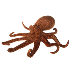 Giant Octopus